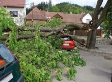Kwikfynd Tree Cutting Services
wickepin